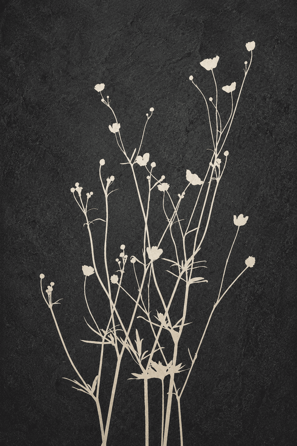 Preview of Ivory Meadow Whisper inside the frame