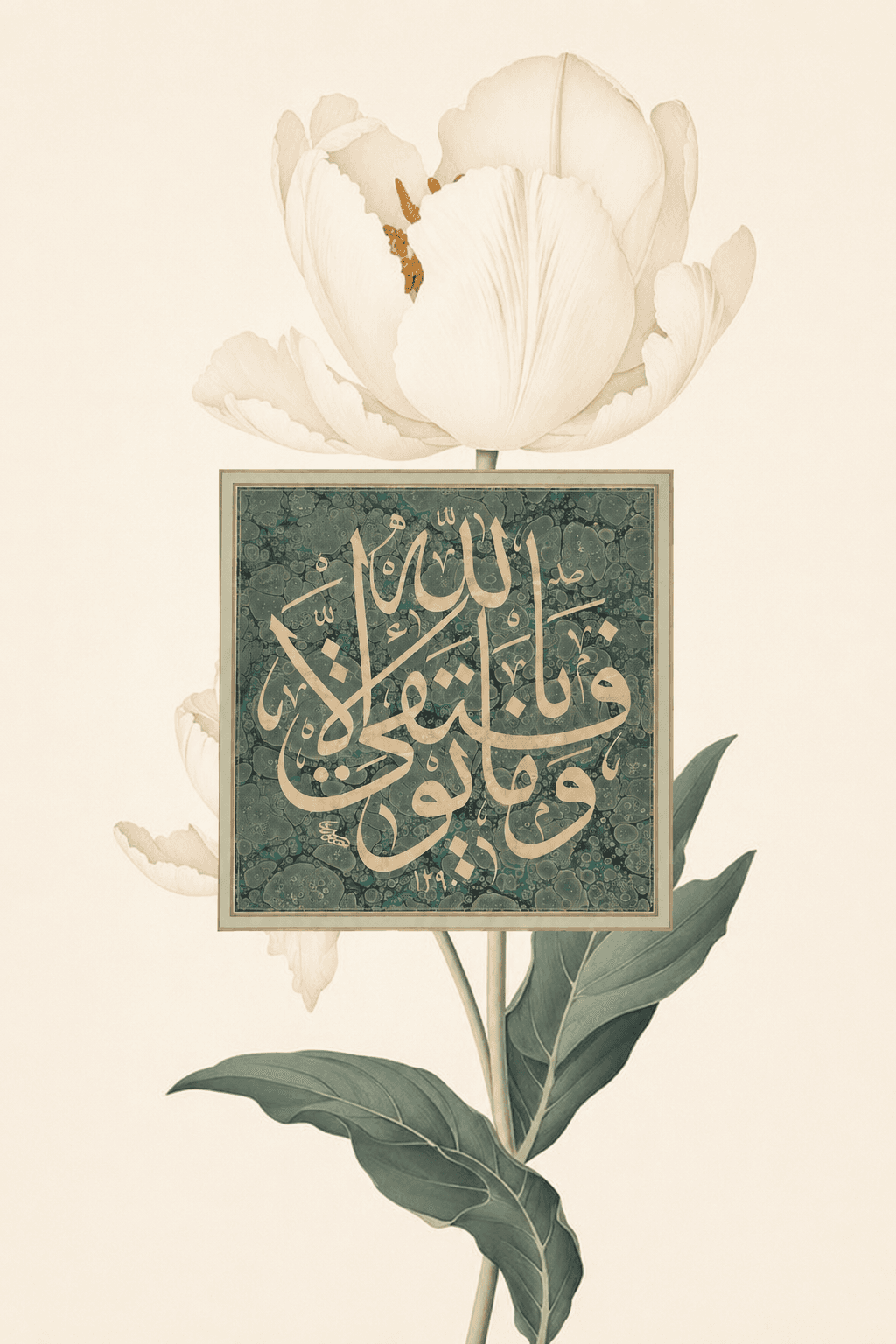 معاينة تصميم نعمة تتفتح داخل الفريم